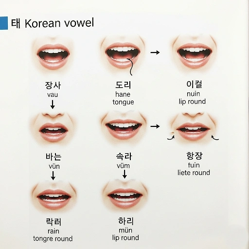 Diagram showing mouth shapes for Korean vowel pronunciation, a helpful visual from Korean Pronunciation Guide for English Speakers Master Hangul in 2025 for learners understanding the sounds.